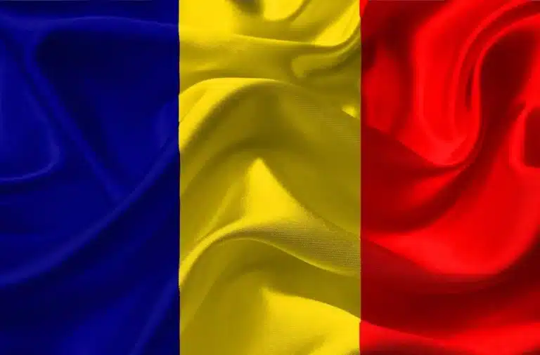 Élection présidentielle en Roumanie : comprendre en cinq questions à Elena-Simina Tanasescu, Juge à la Cour constitutionnelle de Roumanie