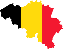 Le projet de suppression du Sénat de Belgique :  la navrante chronique d’une mort annoncée
