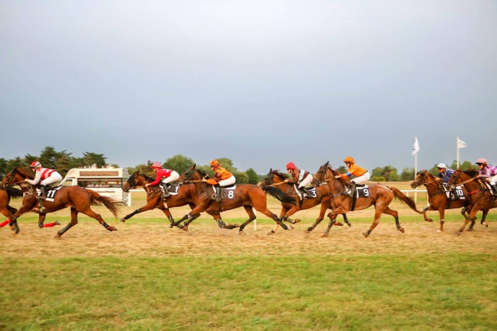 pexels marie claude vergne 316473708 33622455