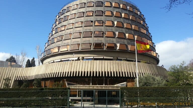 Tribunal Constitucional copie